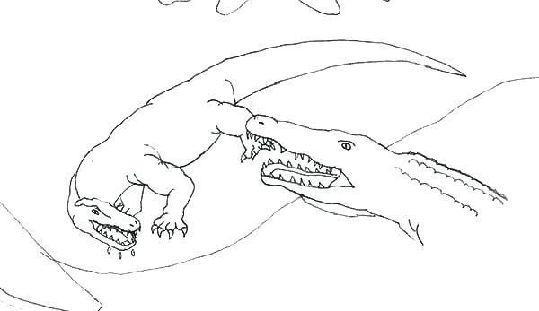 600x347 Crocodile Coloring Pages Crocodile Pokemon Coloring Pages