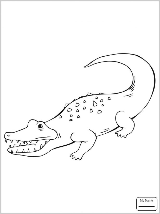 615x820 Baby Crocodile Coloring Pages Reptiles Ancient Egyptian