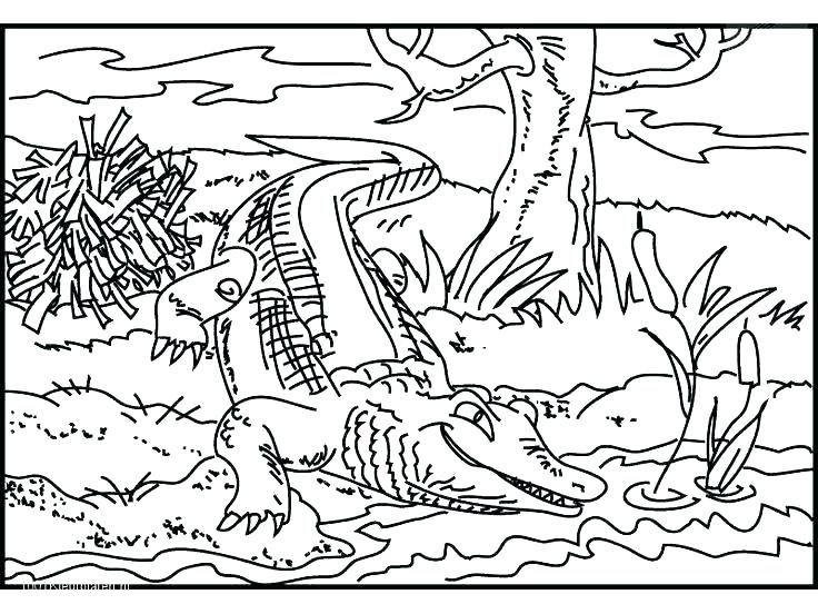 736x552 Crocodile Coloring Pages Crocodile Coloring Page Crocodile