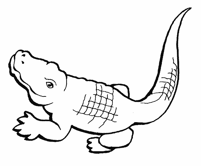 817x674 Alligator Coloring Pages Best Of Free Printable Crocodile Coloring