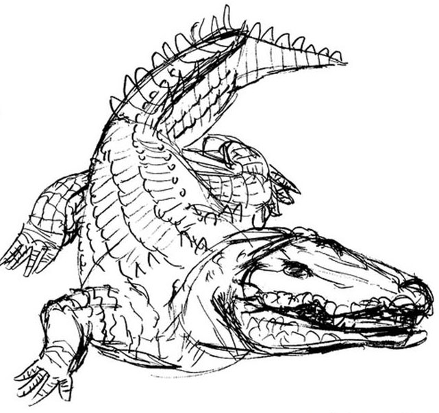 641x604 Crocodile Coloring Pages To Print