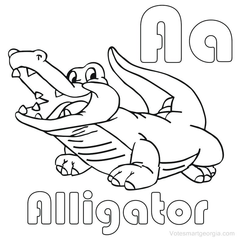 787x787 Alligator Coloring Pages For Preschool Crocodile Coloring Page