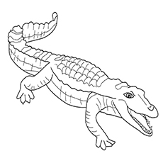 230x230 Top Free Printable Crocodile Coloring Pages Online