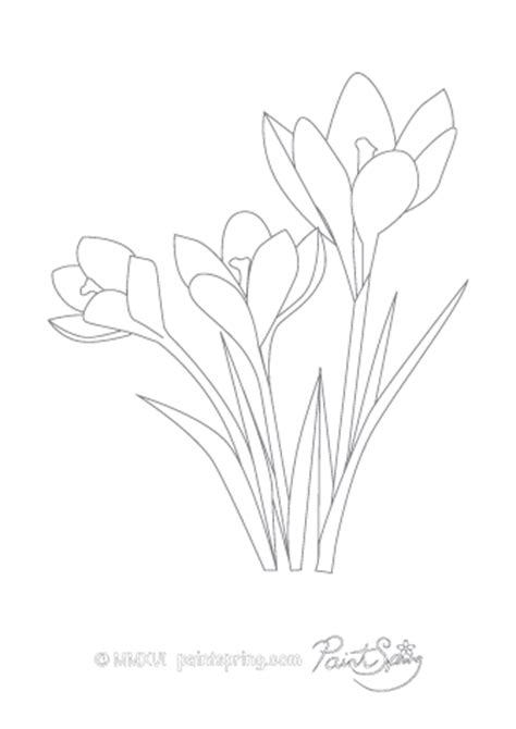 474x670 Free Coloring Pages Printable Pictures To Color Kids, Prairie