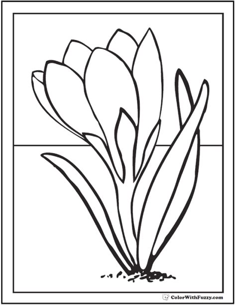474x612 Pics Photos Crocus Colouring Pages Garden, Prairie Crocus Flower