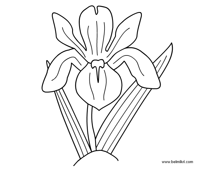 700x600 Printable Coloring Pages, Dot The Dot