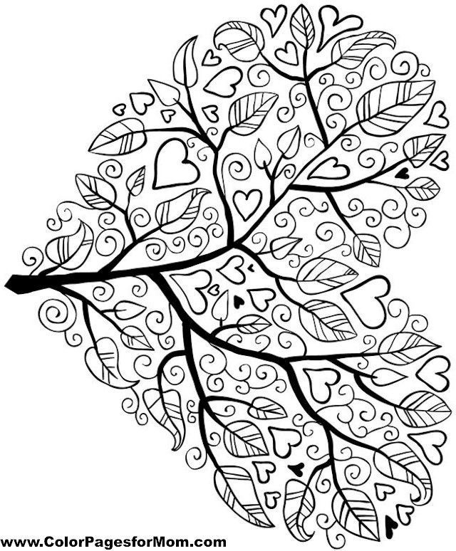 640x774 Tree Coloring Page Coloring Page Adult Coloring