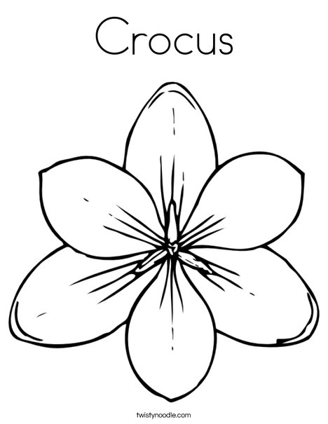 468x605 Crocus Coloring Page