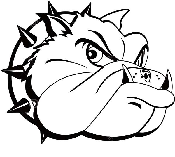 600x540 Bulldog Tattoo Coloring Pages Best Place To Color