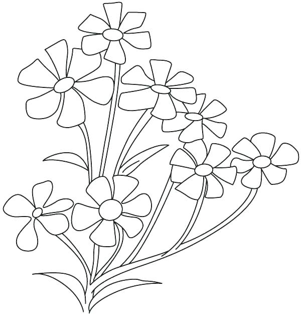 600x625 Free Coloring Pages Flowers Small Flowers Coloring Sheet Free