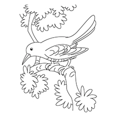 230x230 Top Crow Coloring Pages For Your Toddler