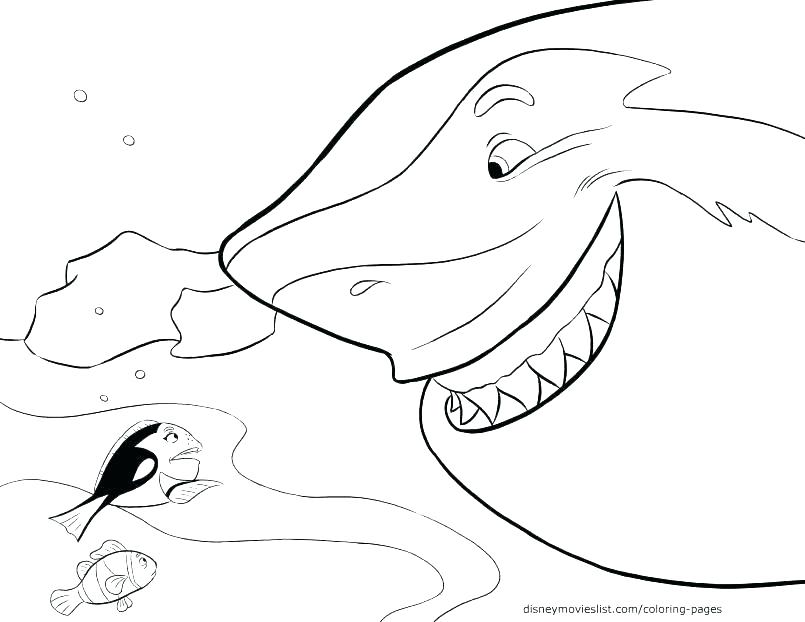 805x622 Coloring Page Shark Gallery Of Shark Coloring Pages Pictures