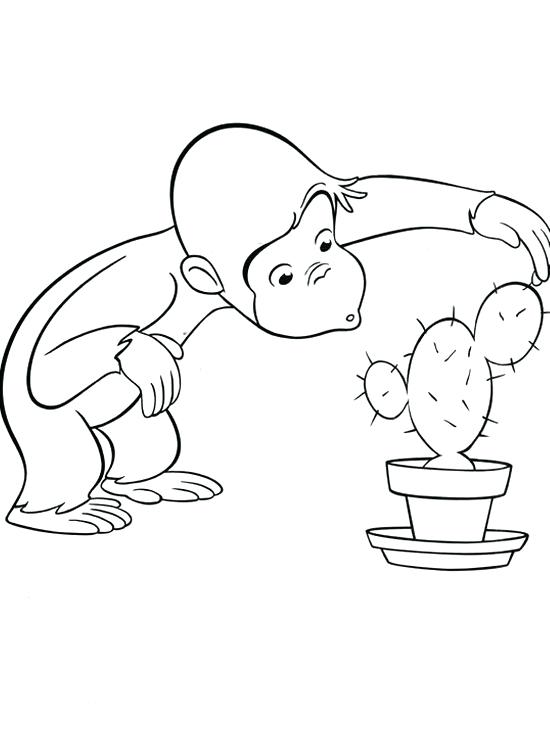550x751 Printable Curious Coloring Pages Coloring Me Curious Coloring