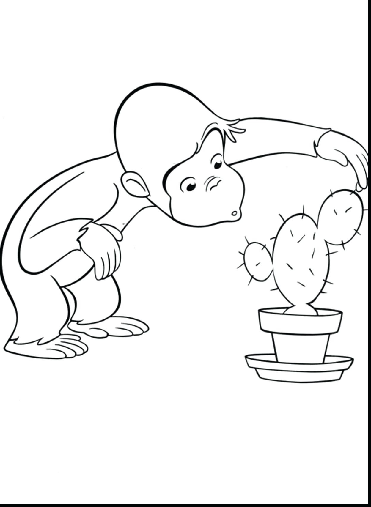 1248x1706 Curious George Coloring Pages Games Best Of Coloring Curious