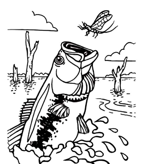600x687 Bass Fish Catching Dragonfly Coloring Pages