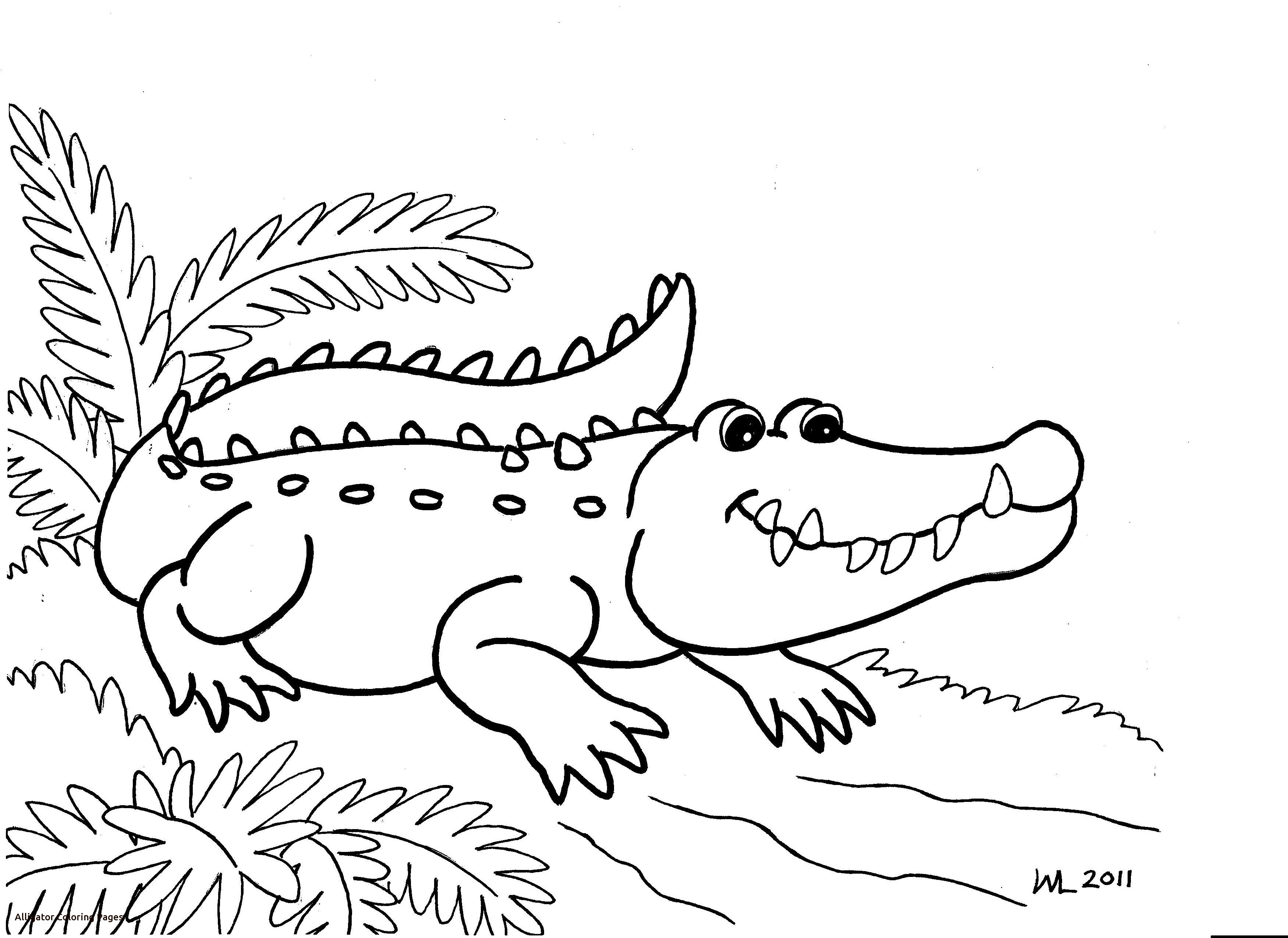 3501x2550 Special American Alligator Coloring Page Cute Free Printable Pages