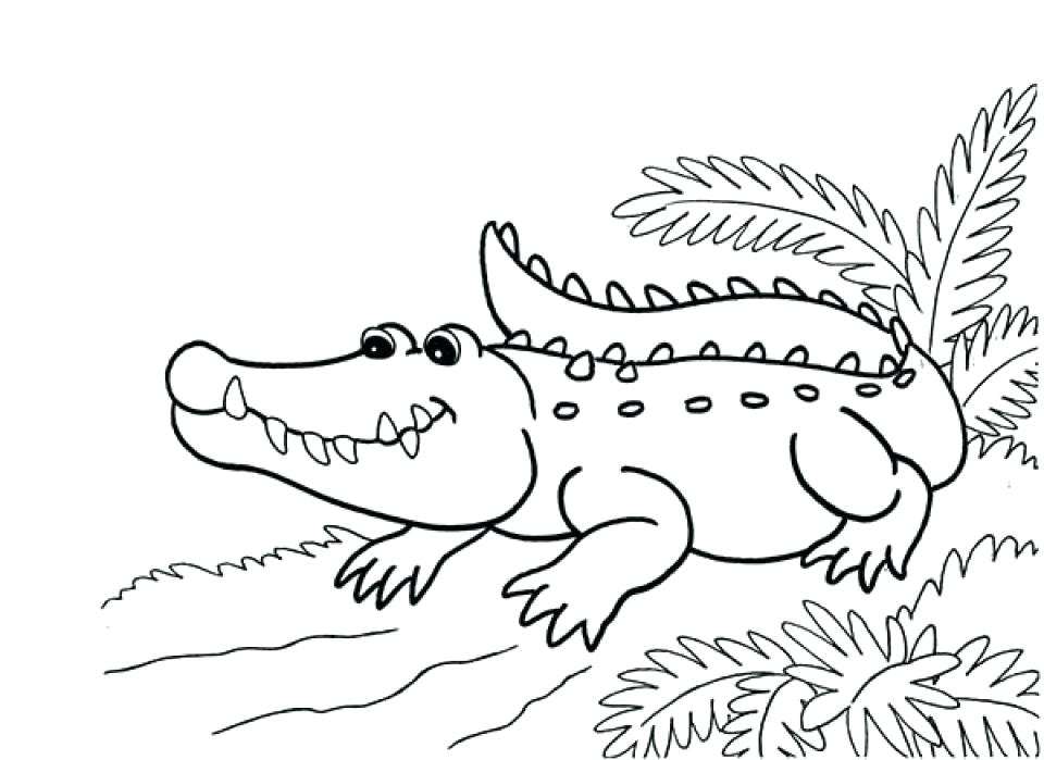 960x699 Alligator Coloring Pages Alligator Coloring Book And Get This