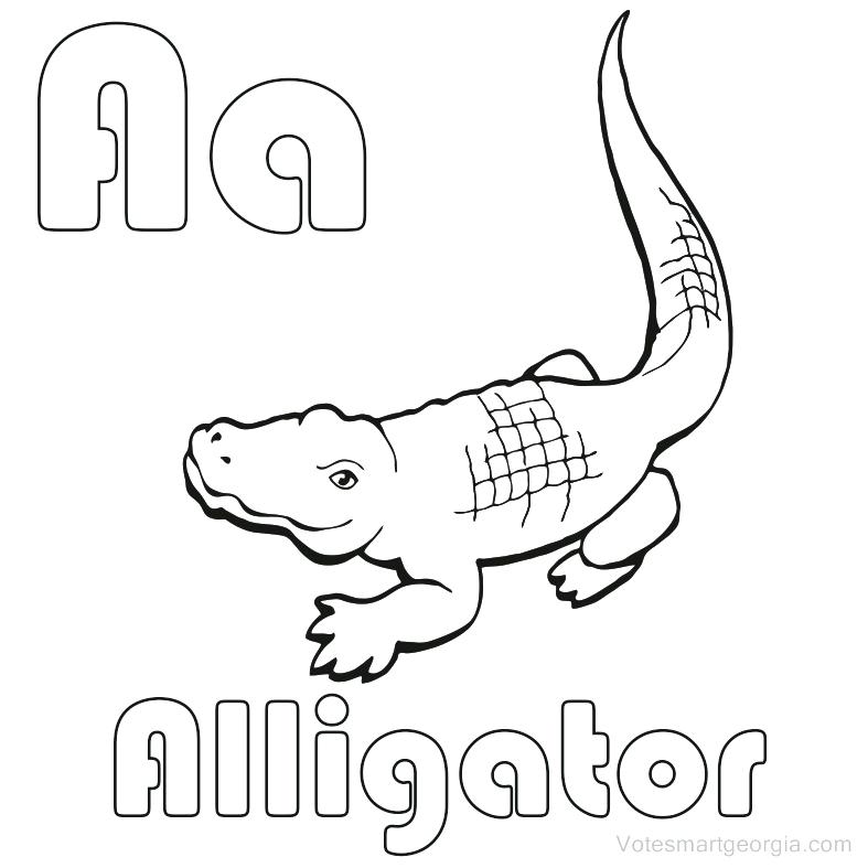 787x787 Alligator Coloring Pages Crocodile Cartoon Face Alligator Coloring