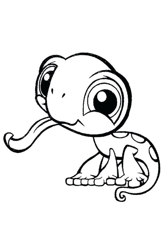 564x789 Baby Zoo Animals Coloring Pages Animals Coloring Pages Coloring