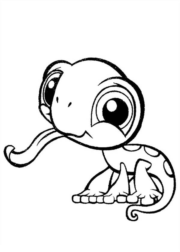 600x840 Cute Baby Animal Nice Baby Animal Coloring Pages