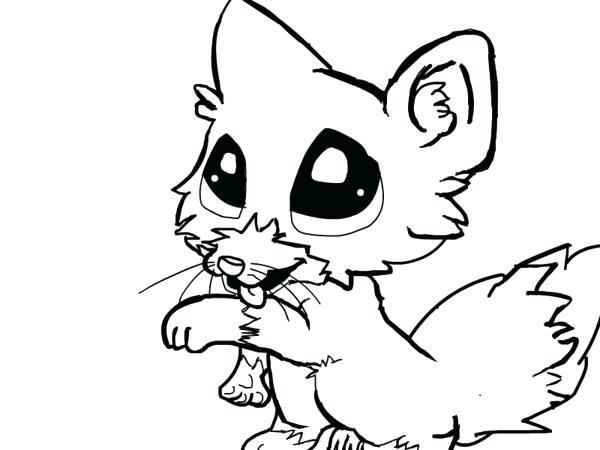 600x450 Cutest Coloring Pages Cute Baby Animal Coloring Pages Animals