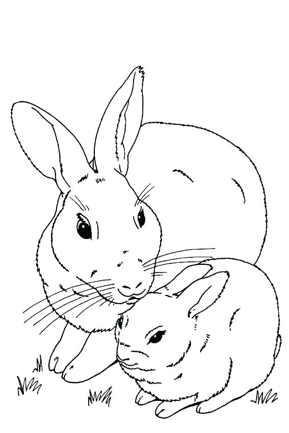 567x850 Remarkable Cute Bunny Coloring Pages Coloring Pages Of Cute Baby