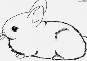 300x210 Coloring Pages Of Bunnies Portraits Baby Bunny Coloring Pages