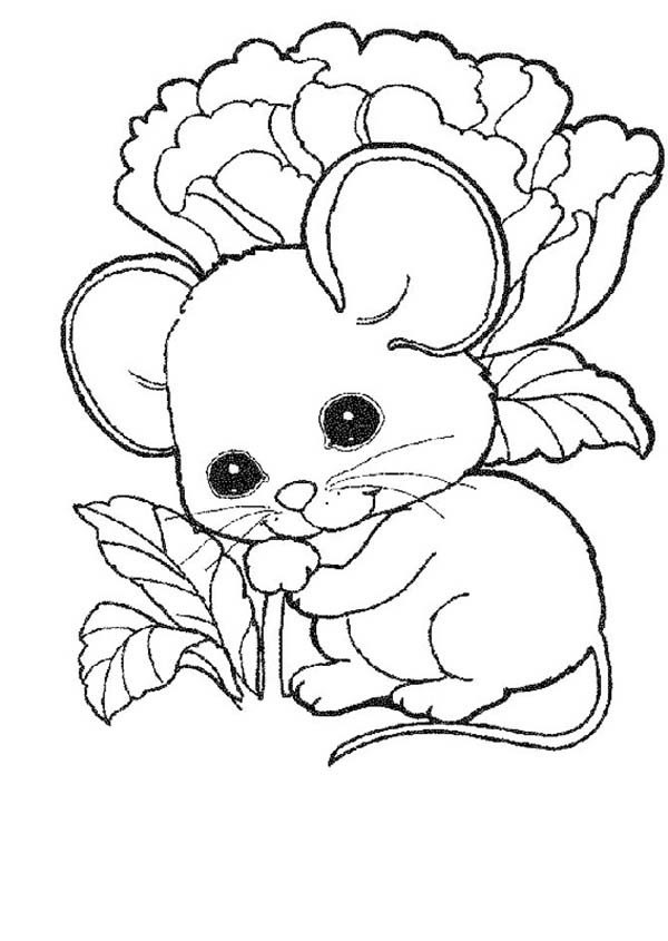 600x845 Cute Baby Coloring Pages Cute Mouse And Rat Ba Coloring Pages Bulk