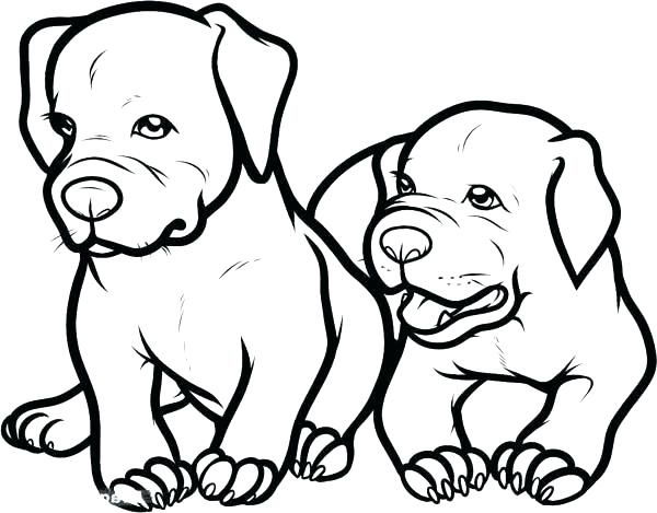 600x469 Baby Puppies Coloring Pages Puppy Face Coloring Page Cute Baby