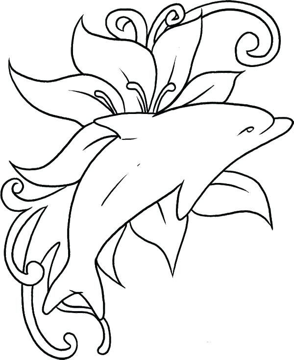 600x736 Baby Dolphin Coloring Pages Dolphin Coloring Page Dolphin Coloring