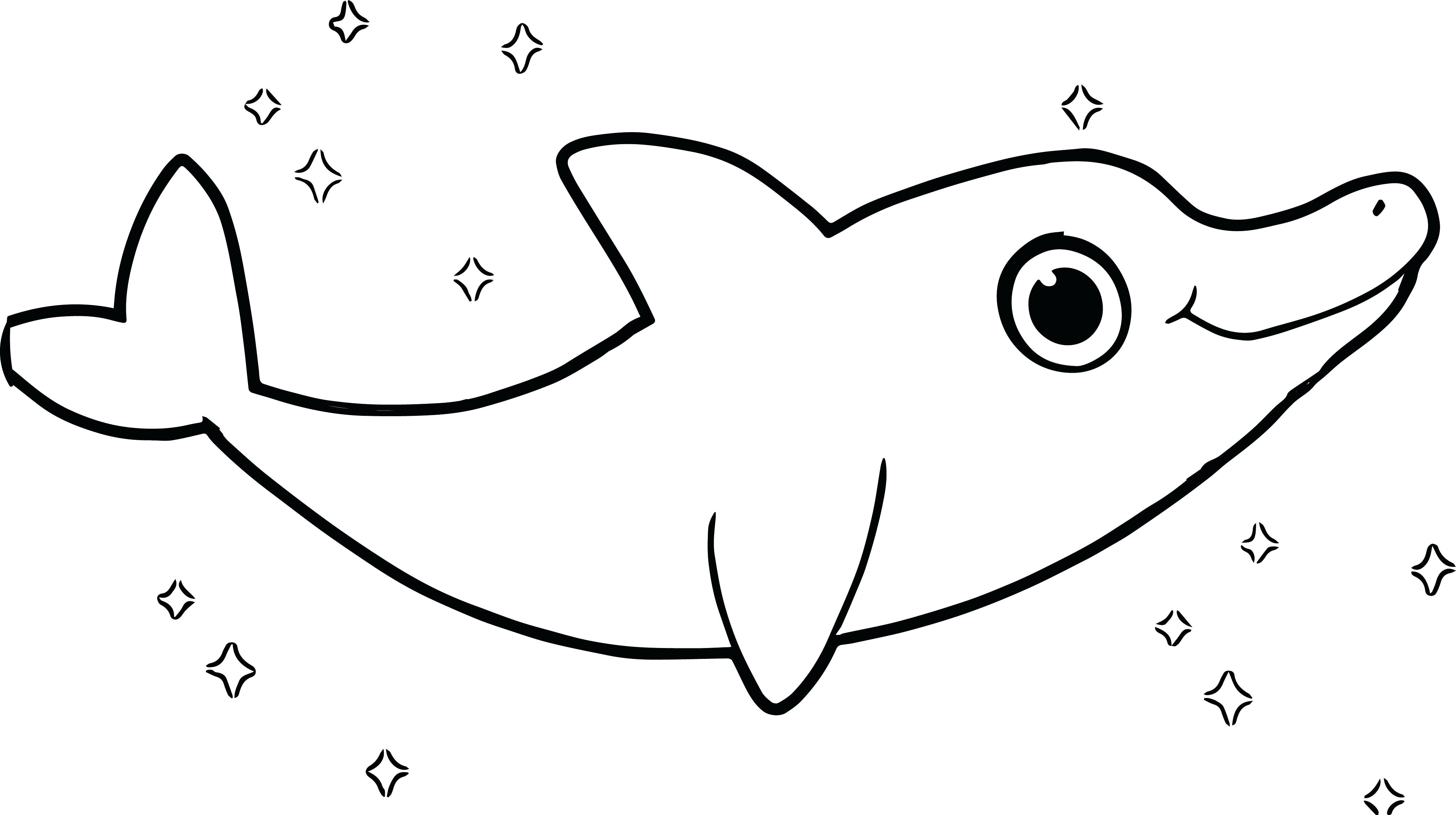 4021x2250 Coloring Baby Dolphin Coloring Pages And Creatures Cute Baby New