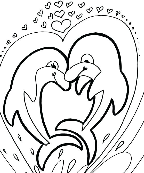558x668 Cute Dolphin Coloring Pages Baby Dolphin Coloring Pages A Couple