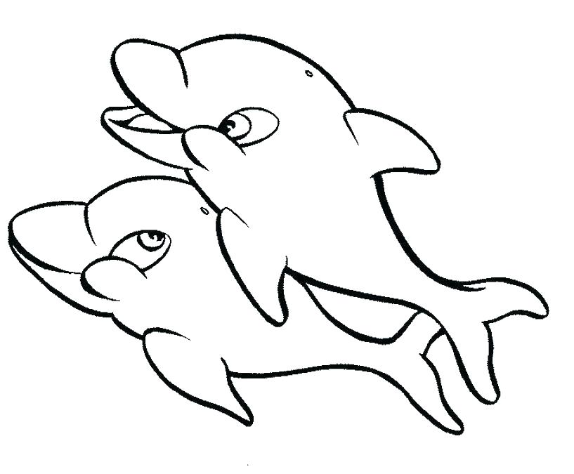 817x675 Cute Dolphin Coloring Pages Dolphin Coloring Sheet Baby Fairy