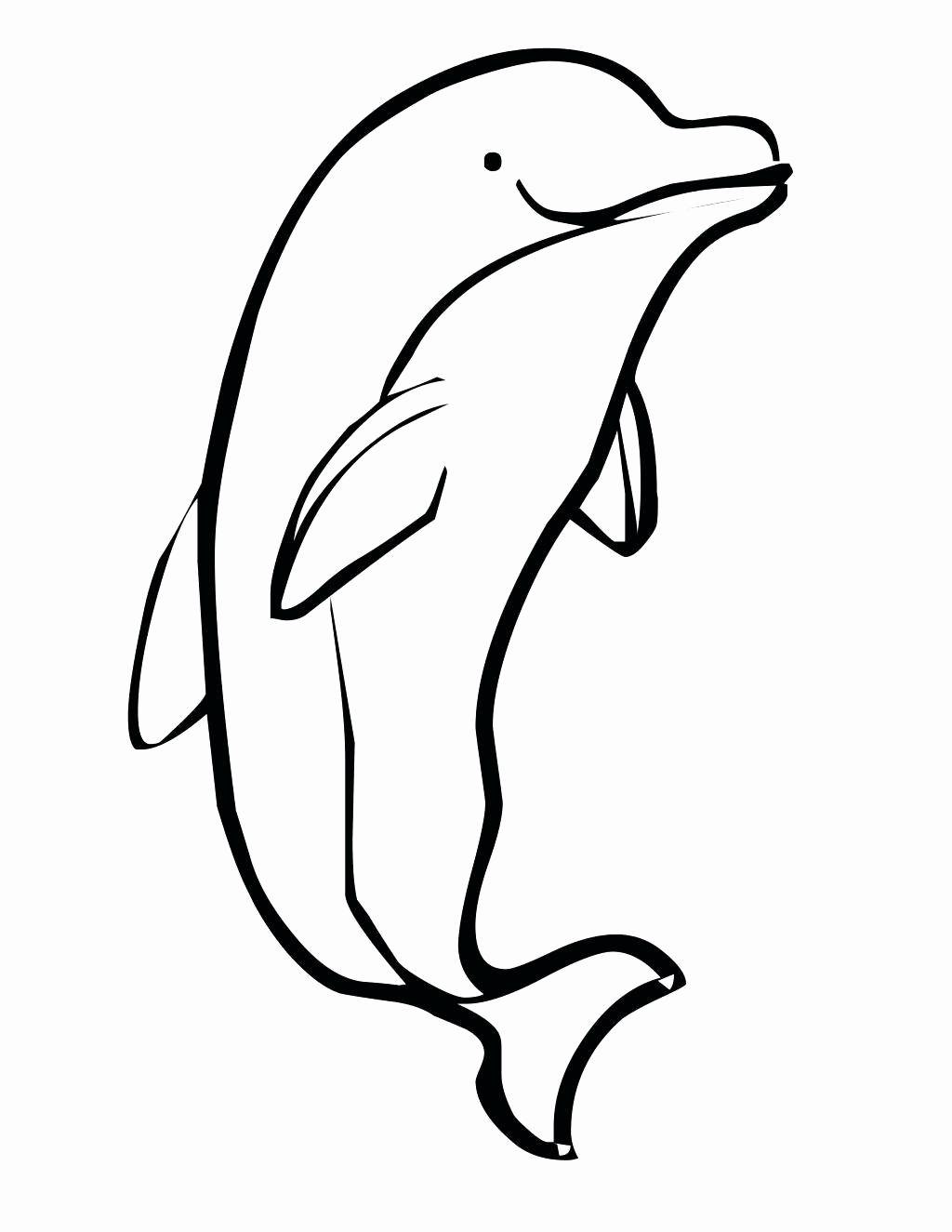 1024x1325 Awesome Stock Of Cute Baby Dolphin Coloring Pages Fancy Acpra