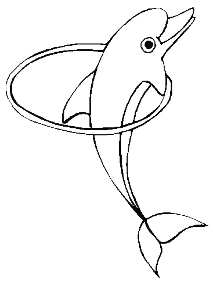 711x948 Dolphins Coloring Dolphins Coloring Page Dolphin Coloring Sheet