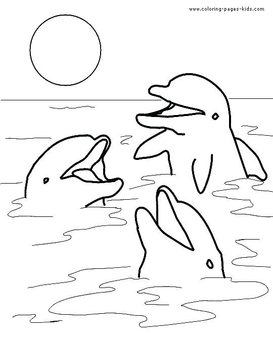 540x684 Free Dolphin Coloring Pages Cute And Baby Dolphin Coloring Pages