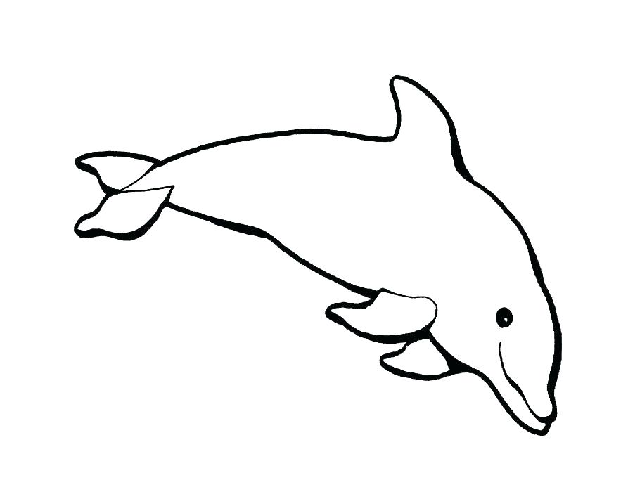893x683 Baby Dolphin Coloring Pages A Couple Of Dolphin Falling In Love