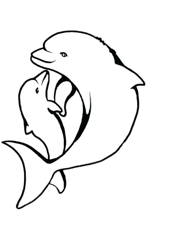 662x790 Baby Dolphin Coloring Pages Baby Dolphin Coloring Pages Coloring