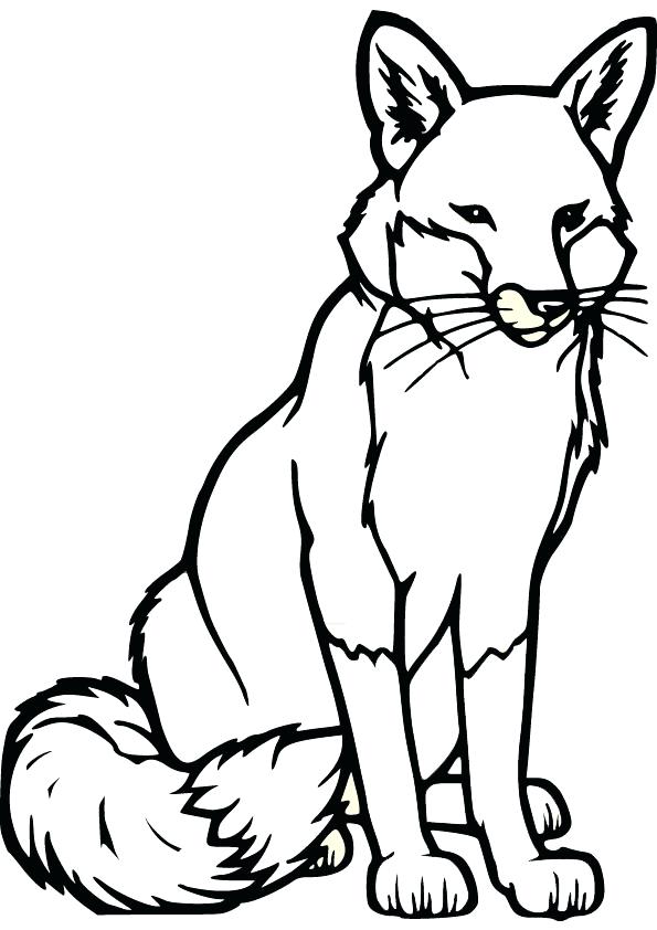 595x842 Baby Wolf Coloring Pages Coloring Pages Little Cute Baby Wolf Sits