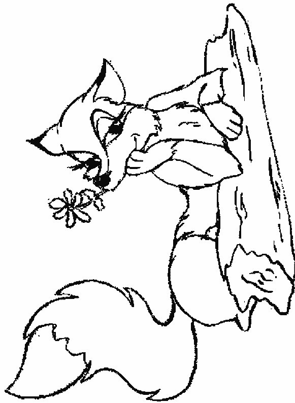 581x794 Coloring Cute Baby Fox Coloring Pages Together With Fox Face
