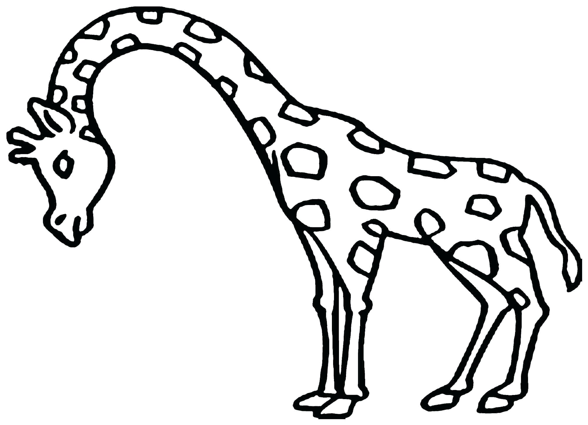 2000x1445 Cute Baby Giraffe Coloring Pages Best Of Animal Little Page Long
