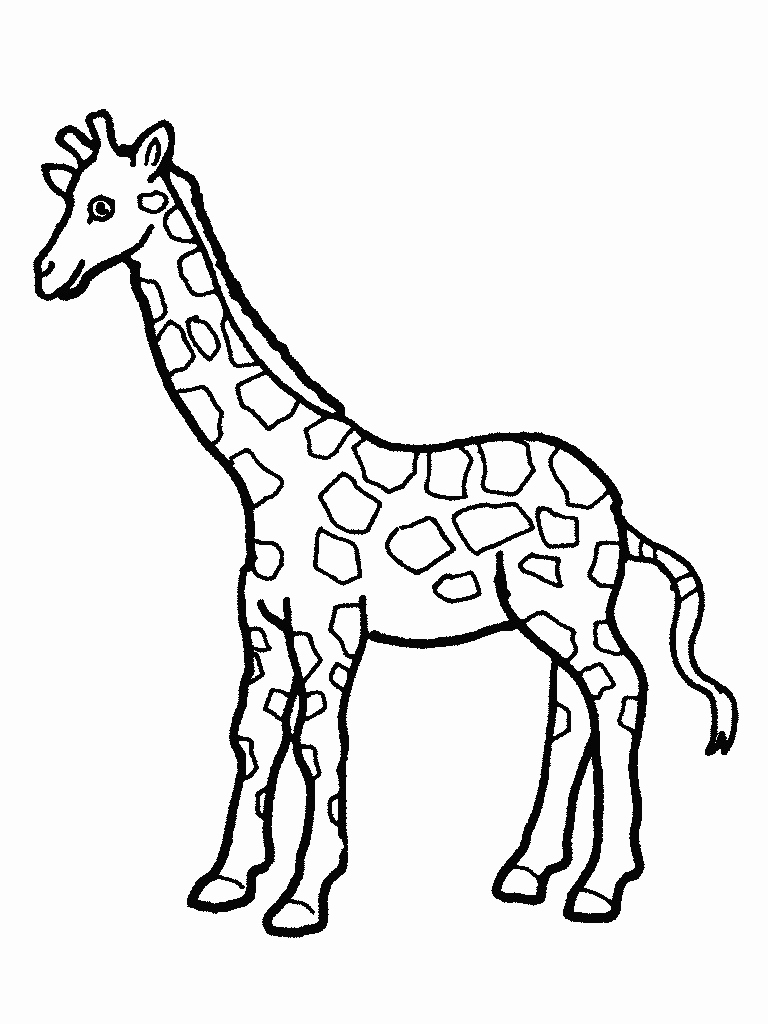 768x1024 Free Printable Giraffe Coloring Pages For Kids Cute Baby Giraffe