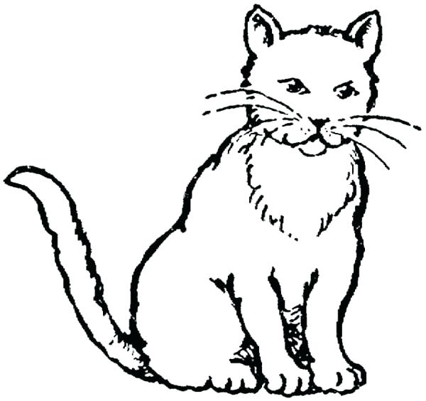 600x564 Cat Coloring Baby Cat Coloring Pages Realistic Drawing Of Kitty