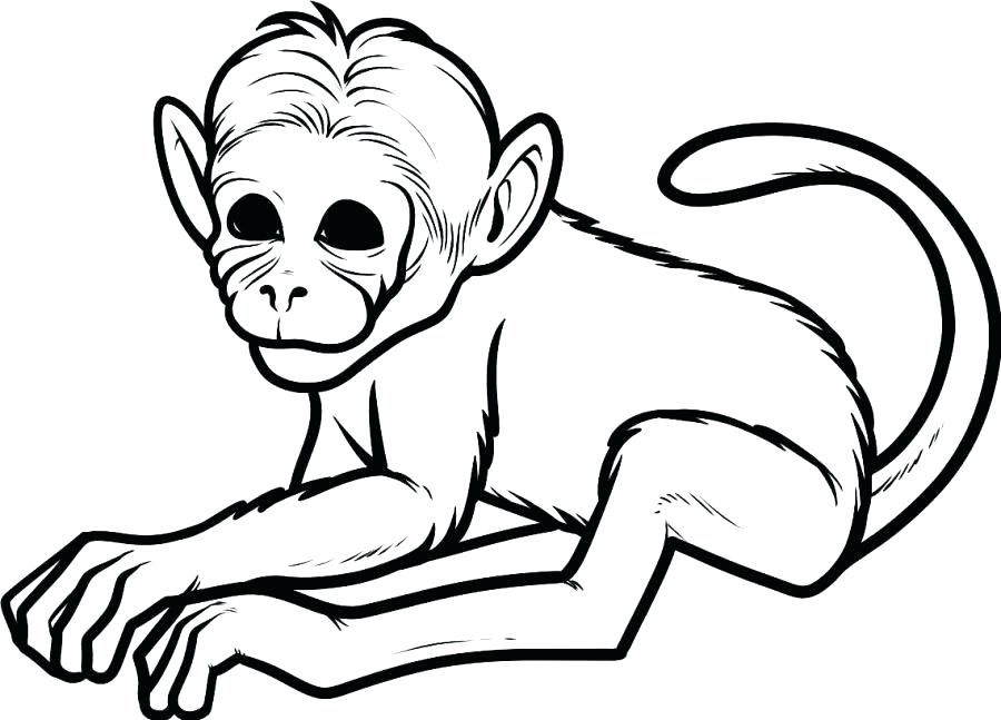 900x647 Rocket Monkeys Coloring Pages Monkeys To Color Cute Baby Monkey