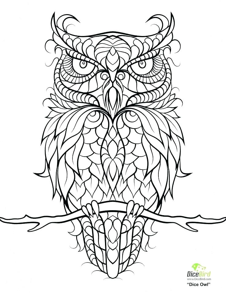 736x952 Coloring Pages Of Owls Owl Coloring Pages Free General Coloring