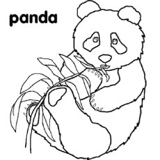 230x230 Top Free Printable Cute Panda Bear Coloring Pages Online