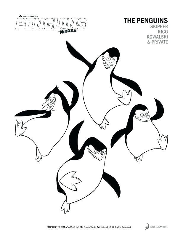 618x800 Penguins Coloring Page Coloring Pages Of Penguins Baby Penguin