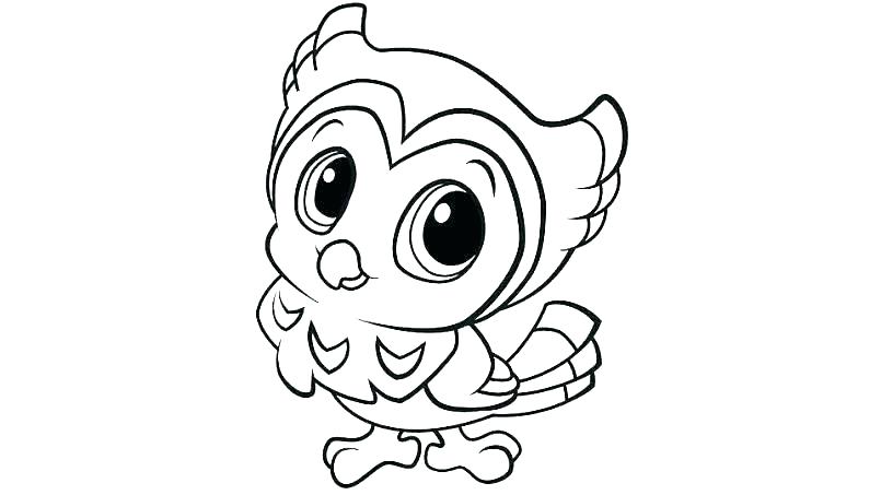 805x453 Cute Baby Penguin Coloring Pages