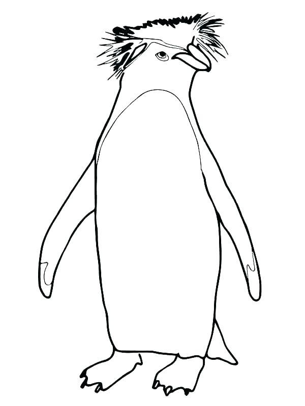 600x800 Cute Penguin Coloring Pages
