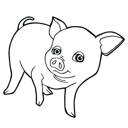 450x450 Coloring Page Of A Pig Cartoon Pig Coloring Pages Baby Pig